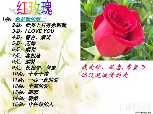 玫瑰花的物语
