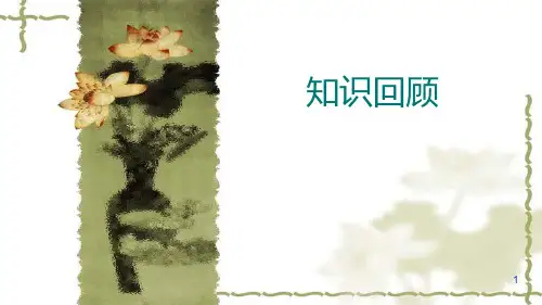 显微镜的使用PPT课件