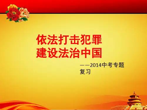 专题复习——依法打击犯罪、建设法治中国专题