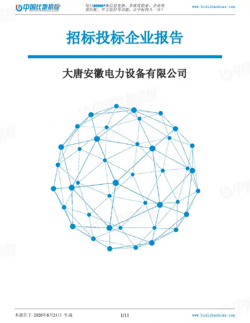 大唐安徽电力设备有限公司-招投标数据分析报告