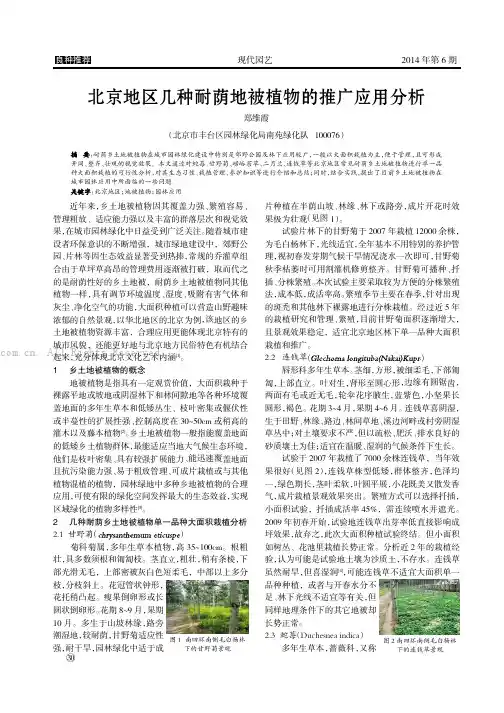 北京地区几种耐荫地被植物的推广应用分析