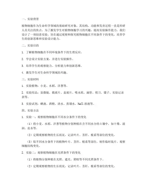 植物细胞创意实验报告