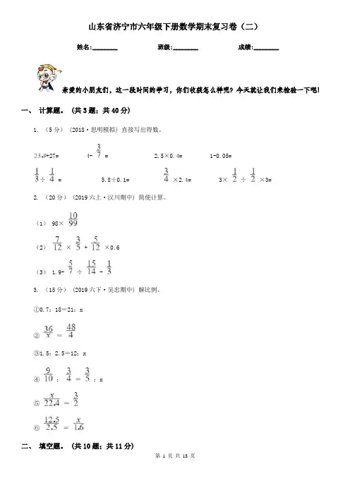 山东省济宁市六年级下册数学期末复习卷(二)