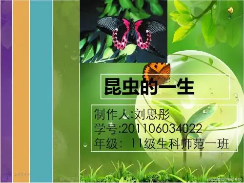 昆虫的一生
