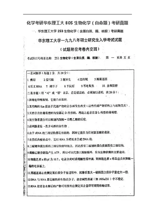 化学考研华东理工大805生物化学(自命题)考研真题