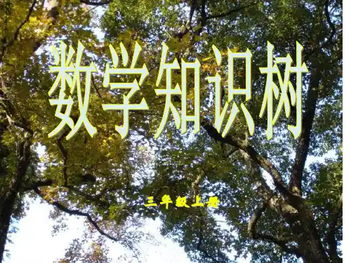 三年级上册数学知识树