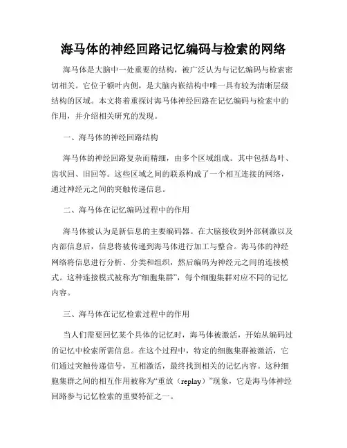 海马体的神经回路记忆编码与检索的网络