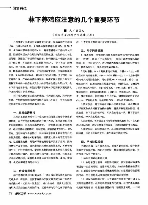 林下养鸡应注意的几个重要环节