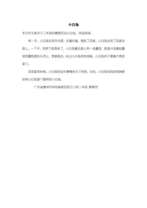 小学二年级看图写话：小白兔