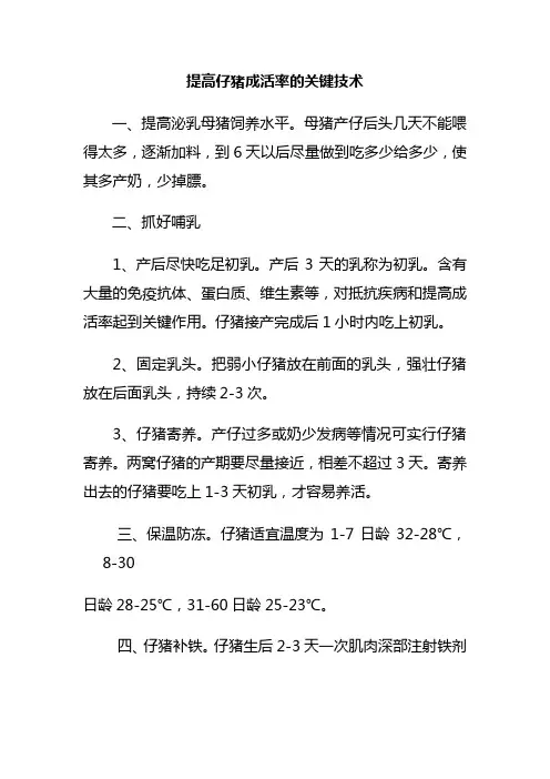 提高仔猪成活率的关键技术