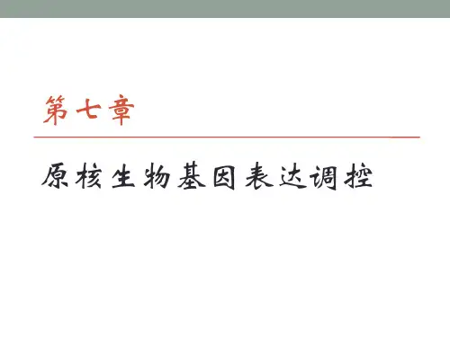 分子生物学：第七章 原核生物基因表达调控