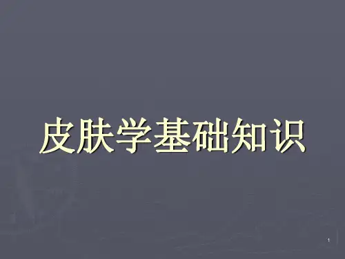 皮肤学基础知识ppt课件