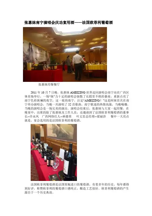 张惠妹南宁站演唱会