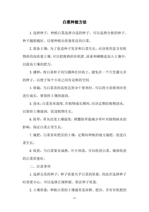 白菜种植方法