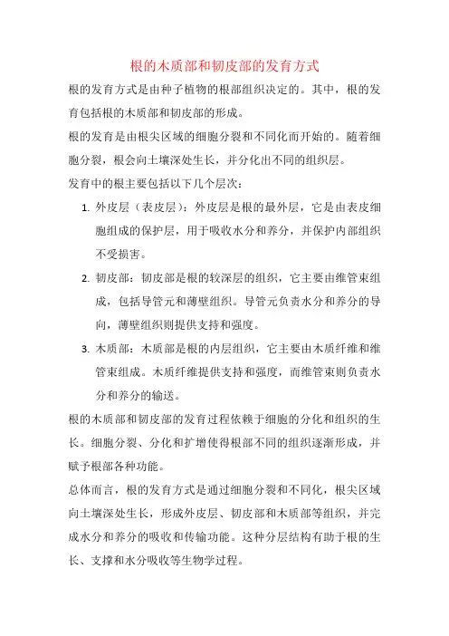 根的木质部和韧皮部的发育方式