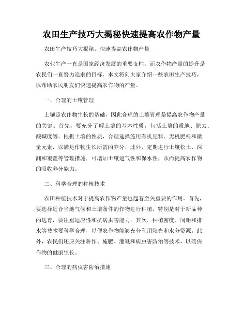 农田生产技巧大揭秘快速提高农作物产量