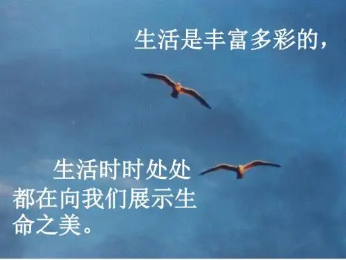 《海燕》PPT课件
