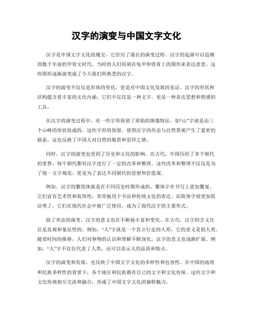 汉字的演变与中国文字文化