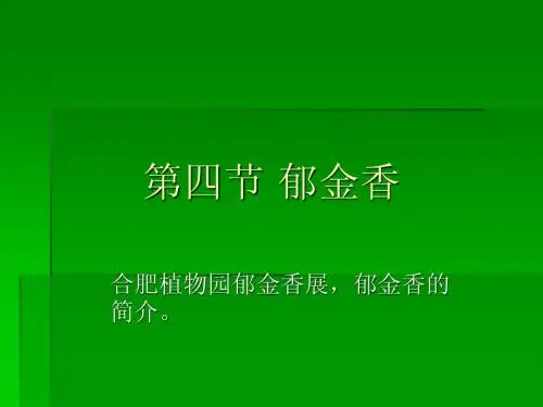 第四节 郁金香.ppt
