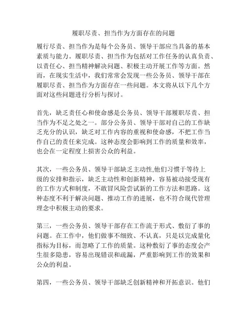 履职尽责、担当作为方面存在的问题