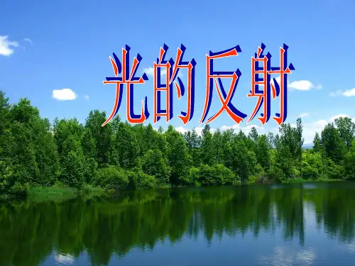 教学课件_光的反射PPT(1)