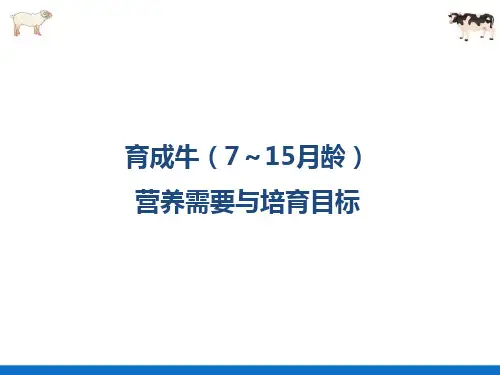 牛羊生产—育成牛饲养管理