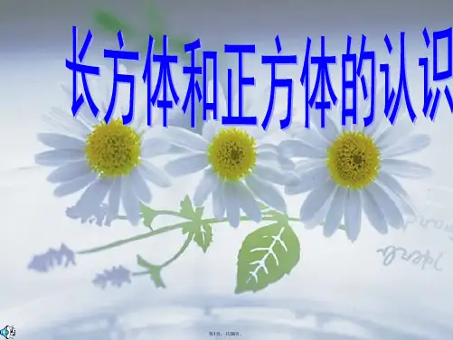 1、长方体和正方体的认识ppt