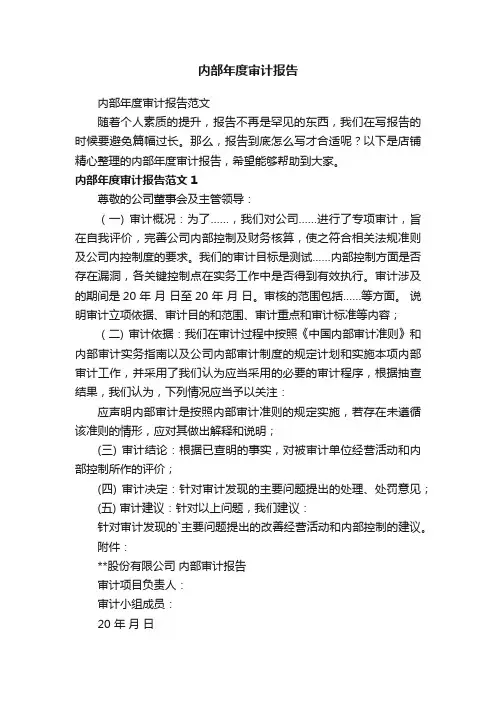 内部年度审计报告