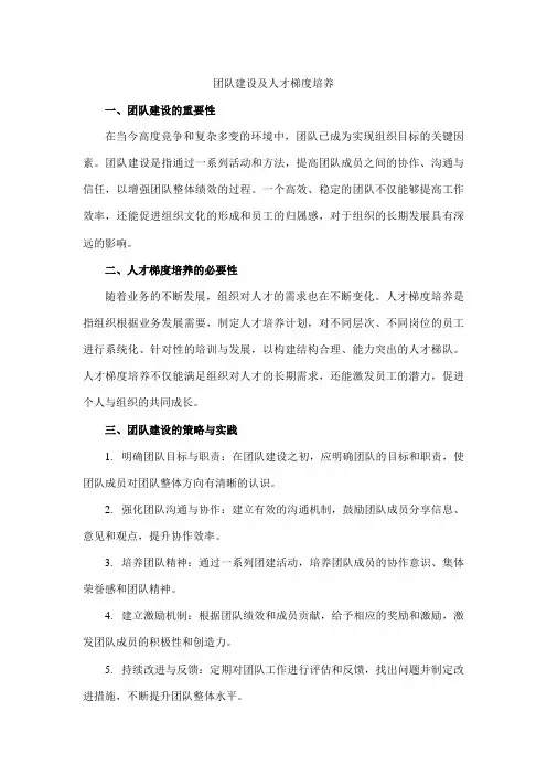 团队建设及人才梯度培养