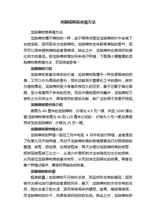 龙脑樟树苗养殖方法