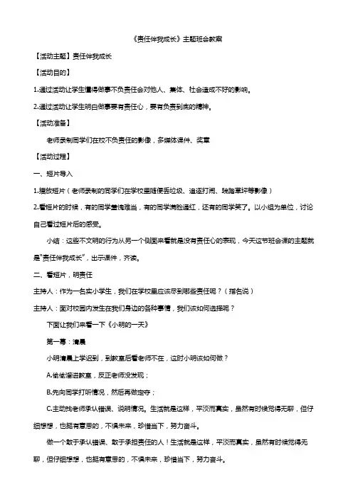 《责任伴我成长》主题班会教案