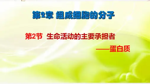 新版生命活动的主要承担者——蛋白质(28张PPT)学习演示PPT课件