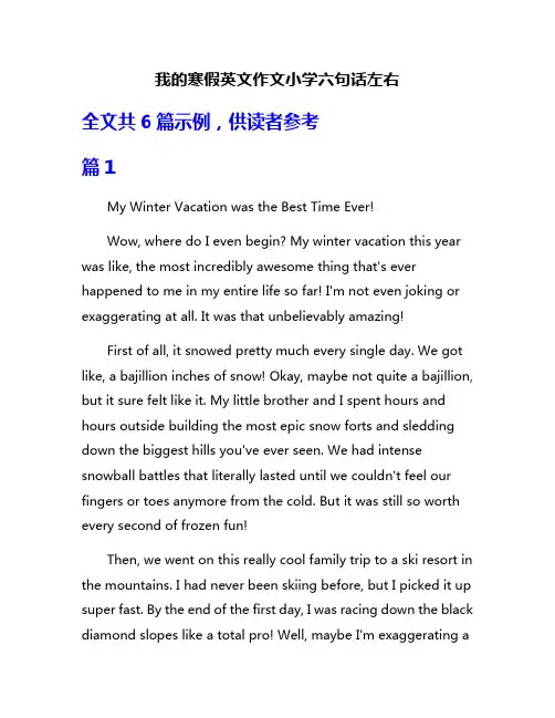 我的寒假英文作文小学六句话左右