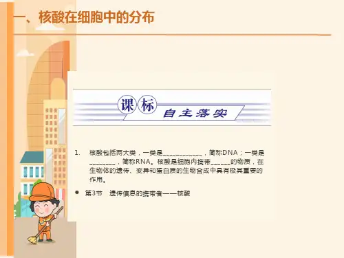 高一生物(人教版)必修一