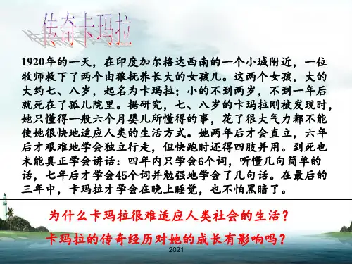 学会和谐交往一PPT课件