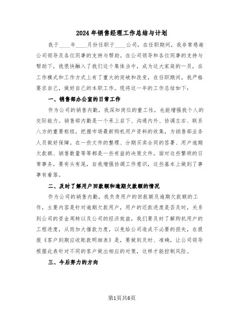 2024年销售经理工作总结与计划(3篇)