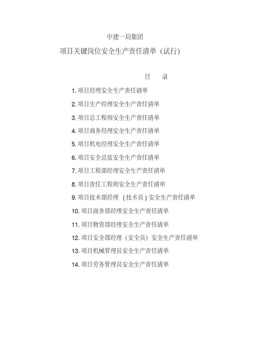 项目关键岗位安全生产责任清单(试行)