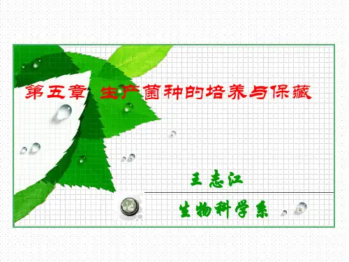 发酵工程第五章
