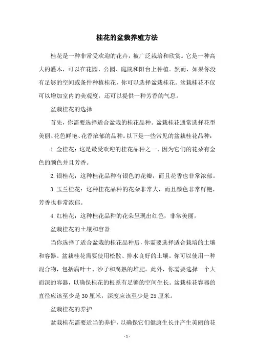 桂花的盆栽养殖方法