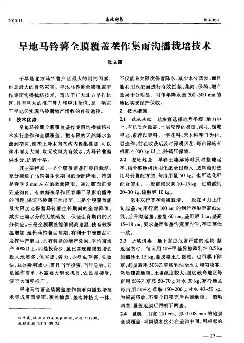 旱地马铃薯全膜覆盖垄作集雨沟播栽培技术
