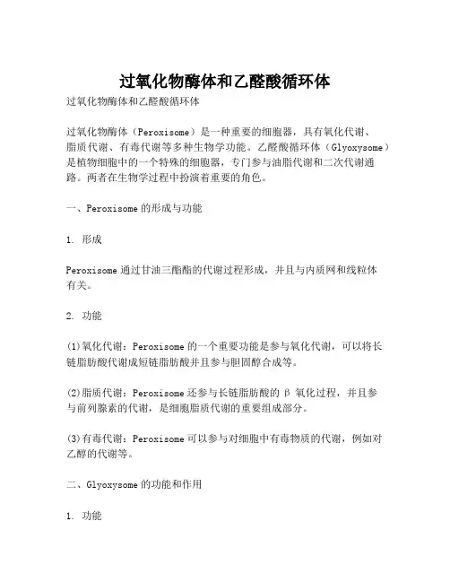 过氧化物酶体和乙醛酸循环体