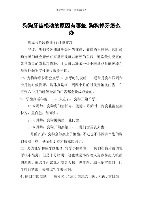 狗狗牙齿松动的原因有哪些,狗狗掉牙怎么办