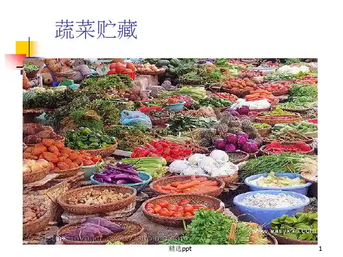 《果蔬的贮藏》PPT课件