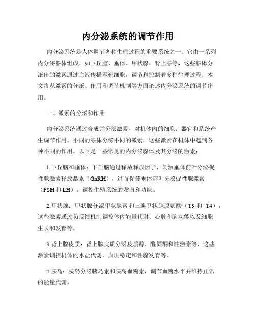 内分泌系统的调节作用