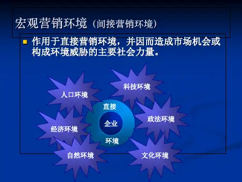 第二节  宏观市场营销环境_PPT幻灯片