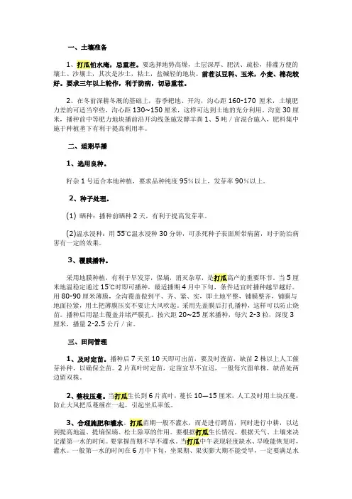 打瓜栽培管理要点
