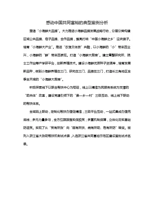 感动中国共同富裕的典型案例分析