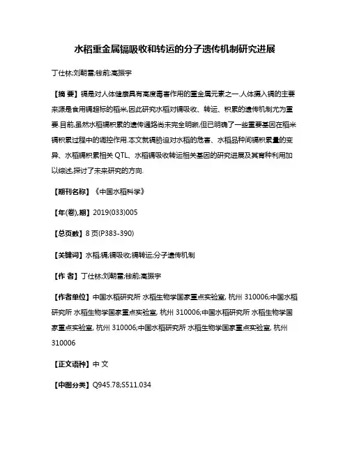 水稻重金属镉吸收和转运的分子遗传机制研究进展