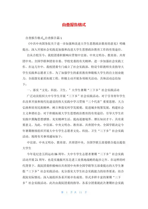 自查报告格式