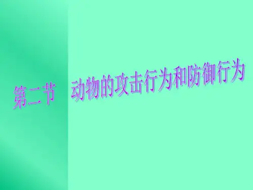第二节动物的攻击行为和防御行为PPT课件